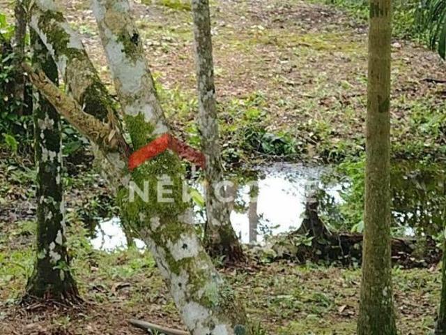 Sítio e chácara venda em Região Imediata de Santos, Região Metropolitana da Baixada Santista