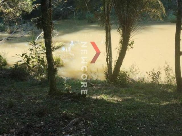 Sítio e chácara venda em Região Geográfica Imediata de Curitiba, Região Metropolitana de Curitiba