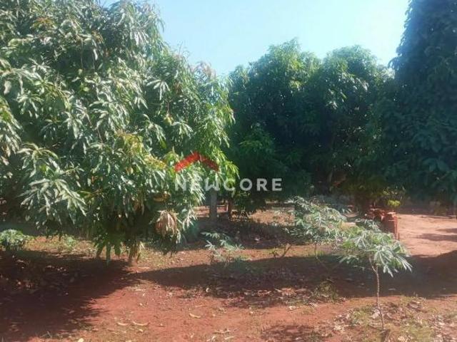 Sítio e chácara venda em Região Geográfica Imediata de Uberlândia, Oliveira Fortes