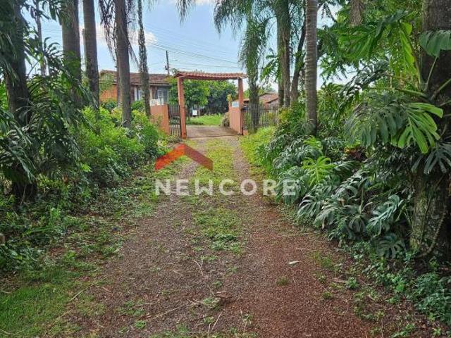 Sítio e chácara venda em Região Geográfica Imediata de Foz do Iguaçu, Medianeira
