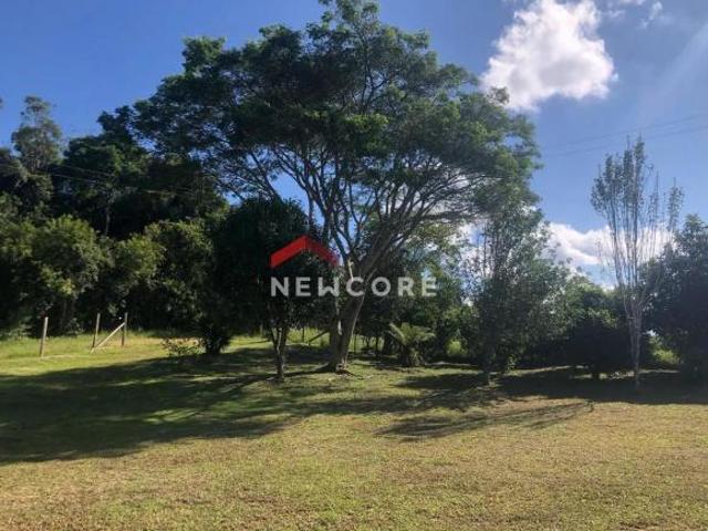 Sítio e chácara venda em Região Geográfica Imediata de Curitiba, Região Metropolitana de Curitiba