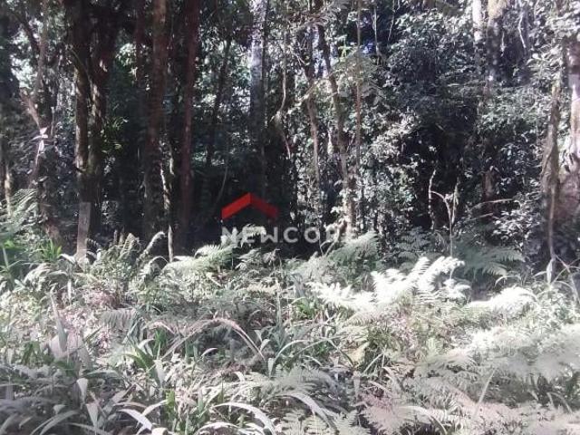 Sítio e chácara venda em Região Geográfica Imediata de Curitiba, Região Metropolitana de Curitiba