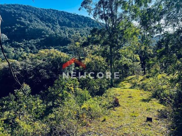 Sítio e chácara venda em Região Geográfica Imediata de Caxias do Sul, São Francisco de Paula