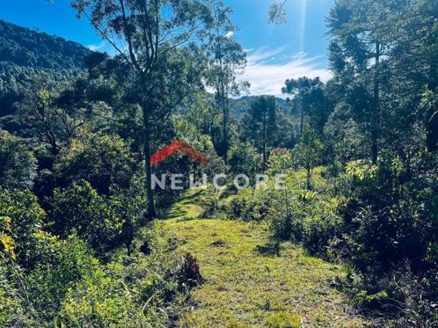 Sítio e chácara venda em Colinas de São Francisco, São Francisco de Paula