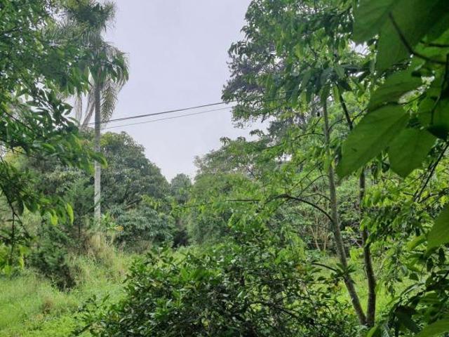 Sítio e chácara venda em Região Imediata de São Paulo, Região Metropolitana de São Paulo