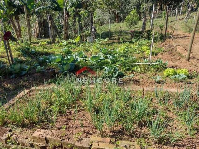 Sítio e chácara venda em Região Geográfica Imediata de Curitiba, Região Metropolitana de Curitiba