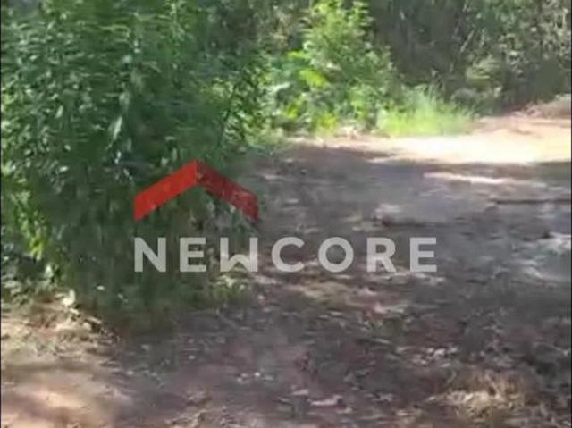 Sítio e chácara venda em Região Imediata de Campinas, Região Metropolitana de Campinas
