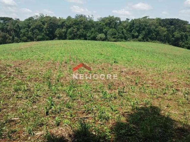 Sítio e chácara venda em Região Geográfica Imediata de Curitiba, Região Metropolitana de Curitiba