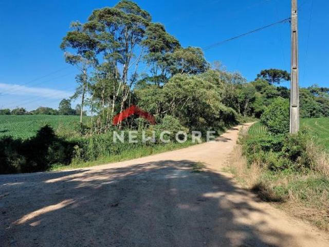 Sítio e chácara venda em Região Geográfica Imediata de Curitiba, Região Metropolitana de Curitiba