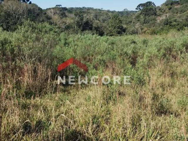 Sítio e chácara venda em Região Geográfica Imediata de Curitiba, Região Metropolitana de Curitiba