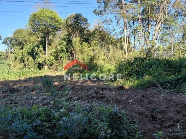 Sítio e chácara venda em Região Geográfica Imediata de Curitiba, Região Metropolitana de Curitiba