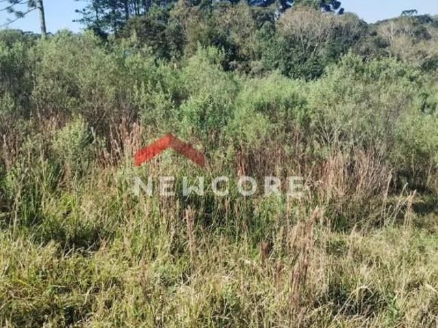 Sítio e chácara venda em Região Geográfica Imediata de Curitiba, Região Metropolitana de Curitiba