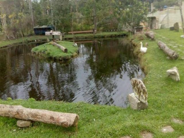 Sítio e chácara venda em Mongaguá
