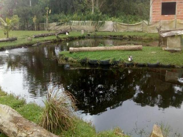Sítio e chácara venda em Mongaguá