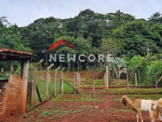 Sítio e chácara venda em Região Geográfica Imediata de Londrina, Cambé