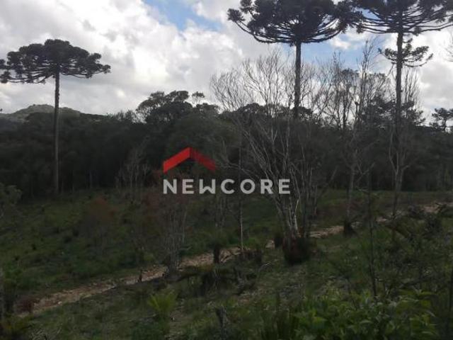 Sítio e chácara venda em Região Geográfica Imediata de Curitiba, Região Metropolitana de Curitiba