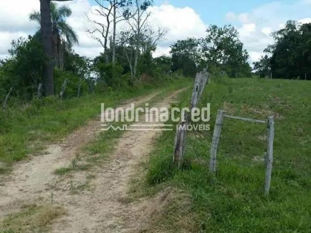 Sítio e chácara venda em Região Geográfica Imediata de Telêmaco Borba, Ortigueira