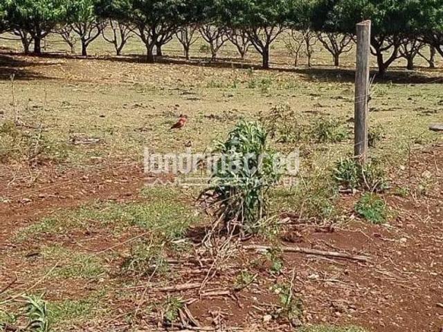 Sítio e chácara venda em Região Geográfica Imediata de Cornélio Procópio-Bandeirantes, Uraí