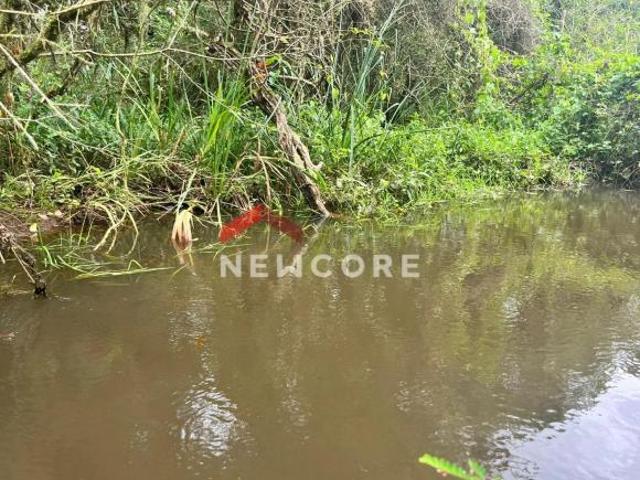 Sítio e chácara venda em Região Geográfica Imediata de Caxias do Sul, São Francisco de Paula