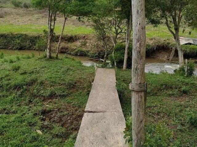 Sítio e chácara venda em Região Geográfica Imediata de Curitiba, Região Metropolitana de Curitiba