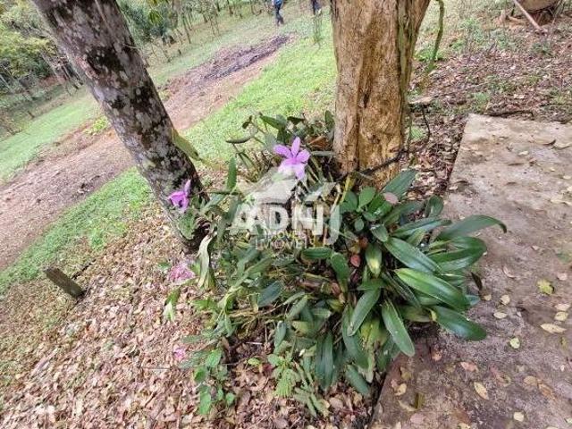 Sítio e chácara venda em Região Imediata de São Paulo, Região Metropolitana de São Paulo