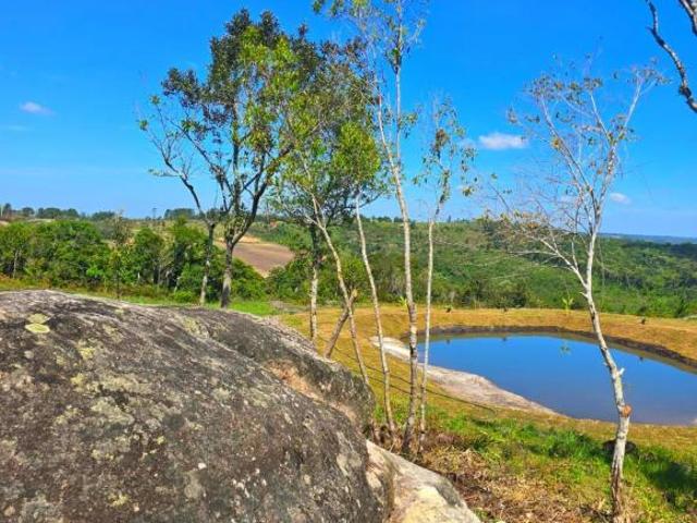 Sítio e chácara venda em Região Geográfica Imediata de Curitiba, Região Metropolitana de Curitiba
