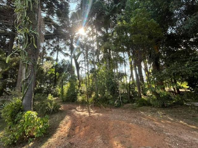 Sítio e chácara venda em Região Geográfica Imediata de Curitiba, Região Metropolitana de Curitiba