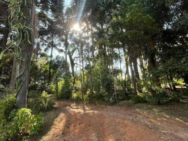 Sítio e chácara venda em Região Geográfica Imediata de Curitiba, Região Metropolitana de Curitiba