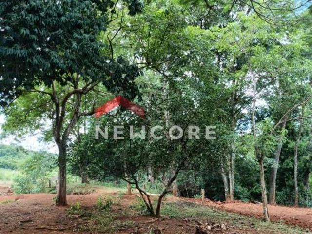 Sítio e chácara venda em São Miguel do Iguaçu, Região Geográfica Intermediária de Cascavel