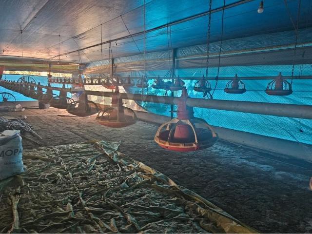 Sítio e chácara venda em Região Geográfica Imediata de Divinópolis, São Sebastião do Oeste