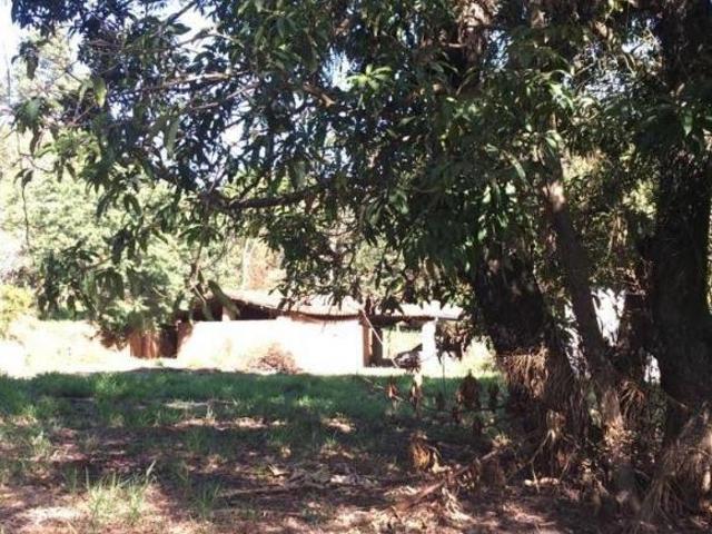 Sítio e chácara venda em Região Imediata de Campinas, Região Metropolitana de Campinas