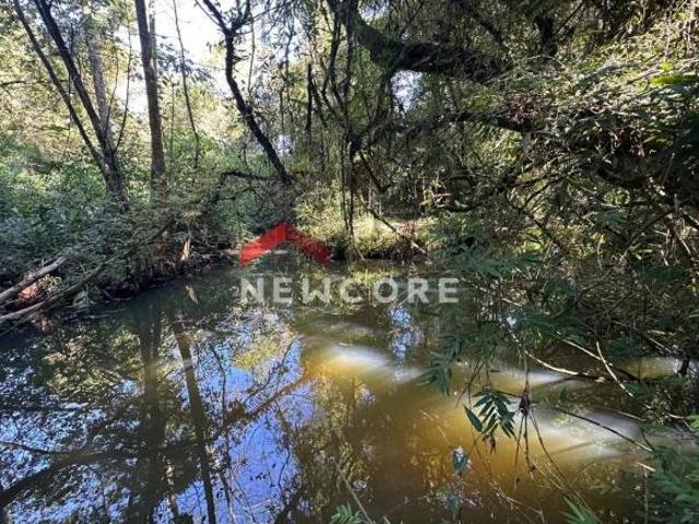Sítio e chácara venda em Região Geográfica Imediata de Taquara - Parobé - Igrejinha, Região Metropolitana de Porto Alegre