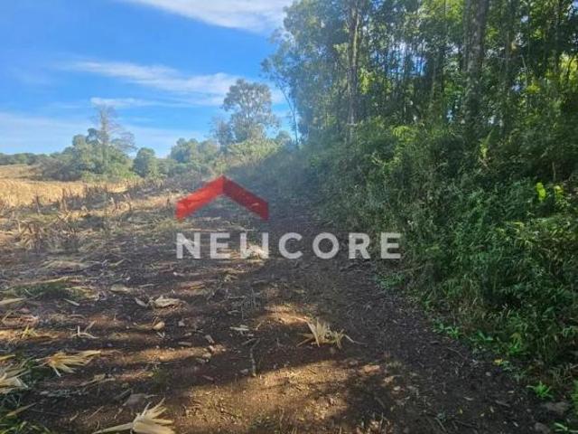 Sítio e chácara venda em Região Geográfica Imediata de Caxias do Sul, Caxias do Sul