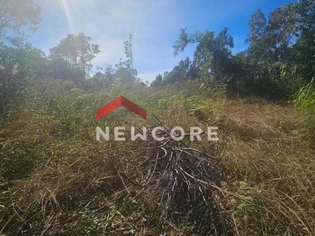 Sítio e chácara venda em Região Geográfica Imediata de Caxias do Sul, Caxias do Sul