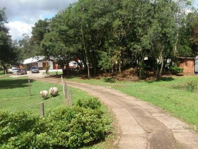 Sítio e chácara venda em Região Geográfica Imediata de Novo Hamburgo - São Leopoldo, Santa Maria do Herval