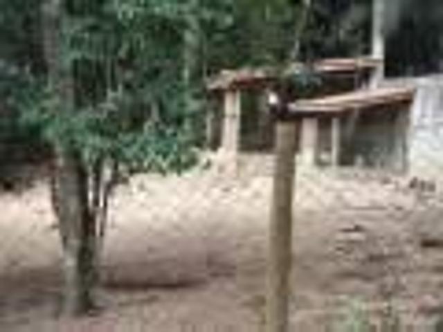 Sítio e chácara venda em Santa Rita do Ribeira, Miracatu