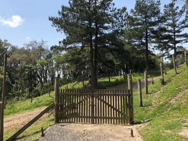 Sítio e chácara venda em Região Geográfica Imediata de São Bento do Sul-Rio Negrinho, São Bento do Sul