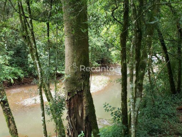 Sítio e chácara venda em Região Geográfica Imediata de Taquara - Parobé - Igrejinha, Três Coroas