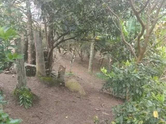 Sítio e chácara venda em Alto da Figueira, Ibiúna