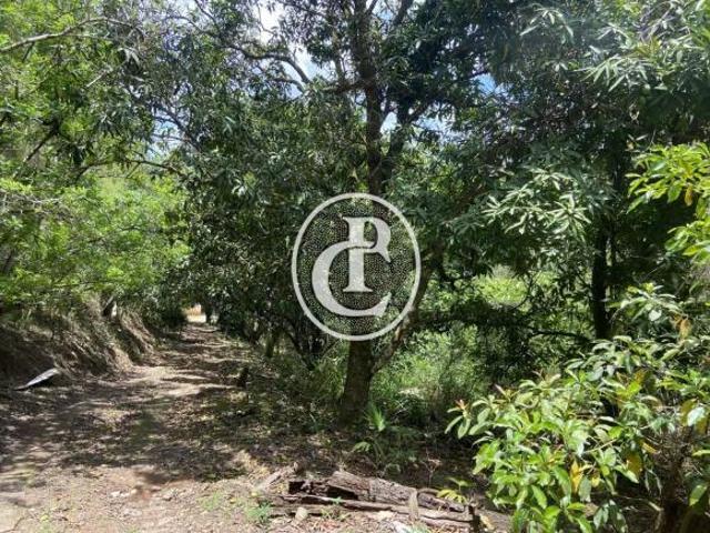 Sítio e chácara venda em Região Imediata de São José dos Campos, Região Metropolitana do Vale do Paraíba e Litoral Norte