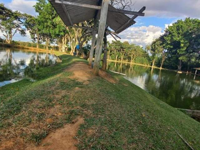 Sítio e chácara venda em Região Imediata de Mogi Guaçu, Região Sudeste