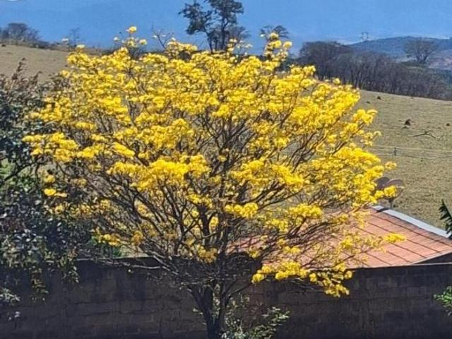 Sítio e chácara venda em Região Imediata de Taubaté-Pindamonhangaba, Região Metropolitana do Vale do Paraíba e Litoral Norte