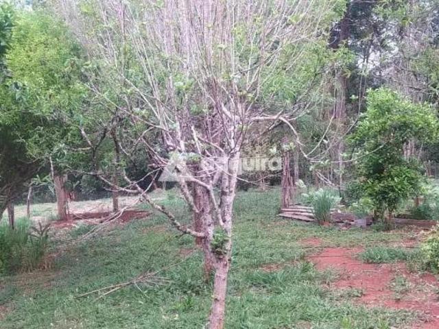 Sítio e chácara venda em Região Geográfica Imediata de Telêmaco Borba, Tibagi