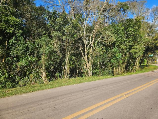Sítio e chácara venda em Araucária, Região Geográfica Intermediária de Curitiba