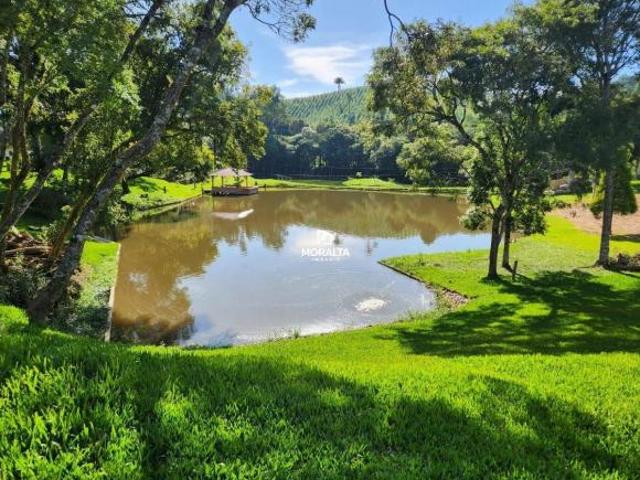 Sítio e chácara venda em Tijucas do Sul, Região Geográfica Intermediária de Curitiba