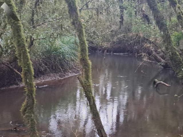 Sítio e chácara venda em Região Geográfica Imediata de Curitiba, Região Metropolitana de Curitiba