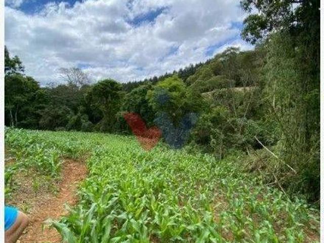 Sítio e chácara venda em Região Geográfica Imediata de Curitiba, Região Metropolitana de Curitiba