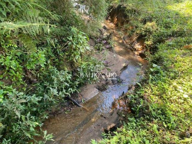 Sítio e chácara venda em Região Geográfica Imediata de Pouso Alegre, Região Sudeste