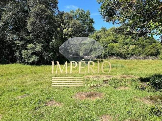Sítio e chácara venda em Região Geográfica Imediata de Taquara - Parobé - Igrejinha, Três Coroas