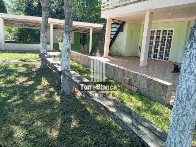 Sítio e chácara venda em Ipiranga, Região Geográfica Intermediária de Ponta Grossa
